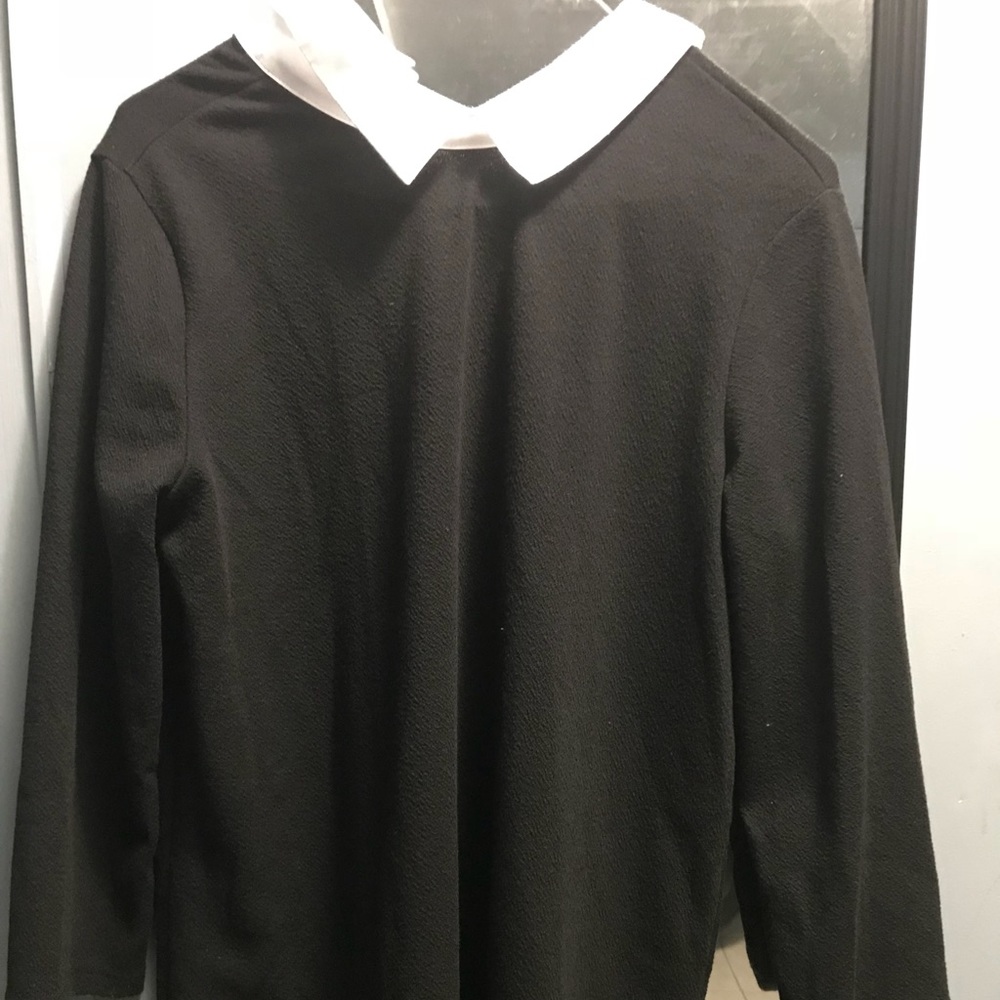 Zara flowy white collared black dress